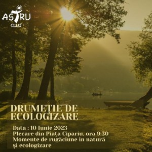 ecologizare